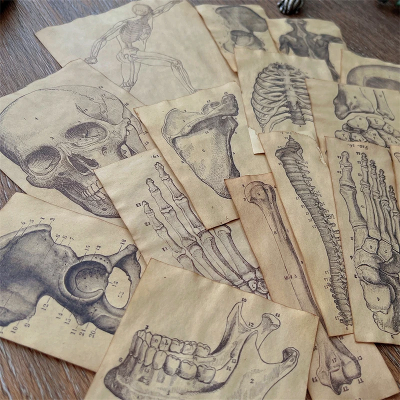 17 Piece Handmade Coffee Dyed Paper Skeleton Human Anatomy Material Paper Pack Junk Journal Ephemera Album Scrapbooking Material
