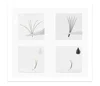 NATUHANA False Eyelash Glue Waterproof Eye Lash Cosmetic Tools False Eyelashes Adhesive Clear-white Dark-Black Makeup Tools 4