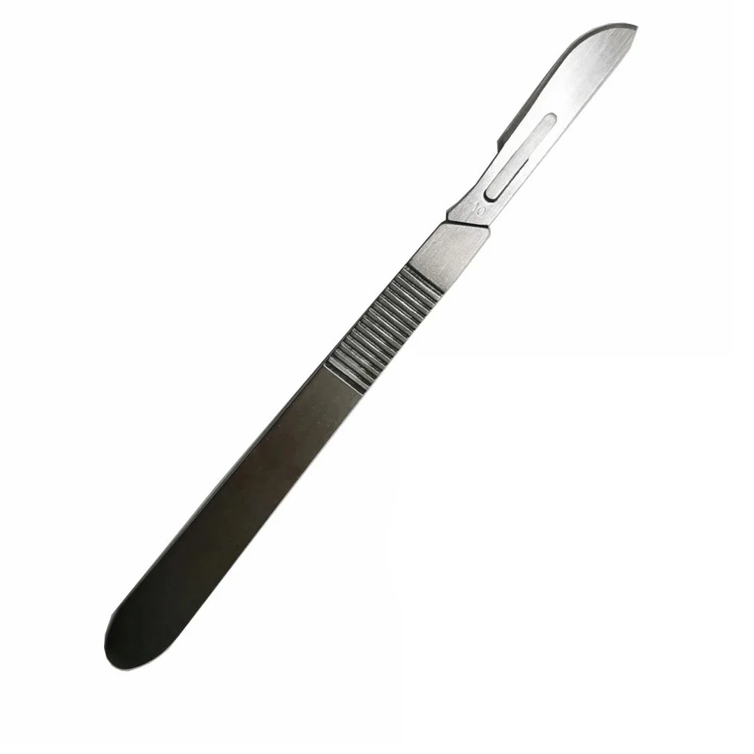 10Pcs STERILE Scalpel Blades #10 with Handle for Dermaplaning ,Pedicure, Crafts,Modelling,Medical,Eyebrow Razor 3