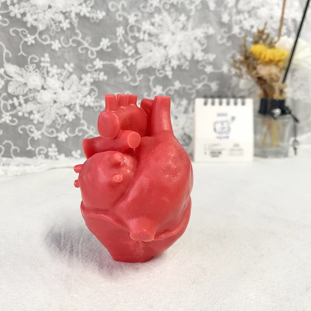 Silicone Mold for soap and candles anatomical heart 3D, 3D molds, molds,  candles molds, silicone molds for gypsum - AliExpress