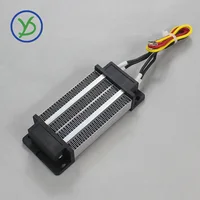 Élément chauffant 12V ~ 220V 200W 300W AC DC Thermos isolé PTC chauffage d'air en céramique 110V incubateur chauffage électrique 120x50mm 76A2 6