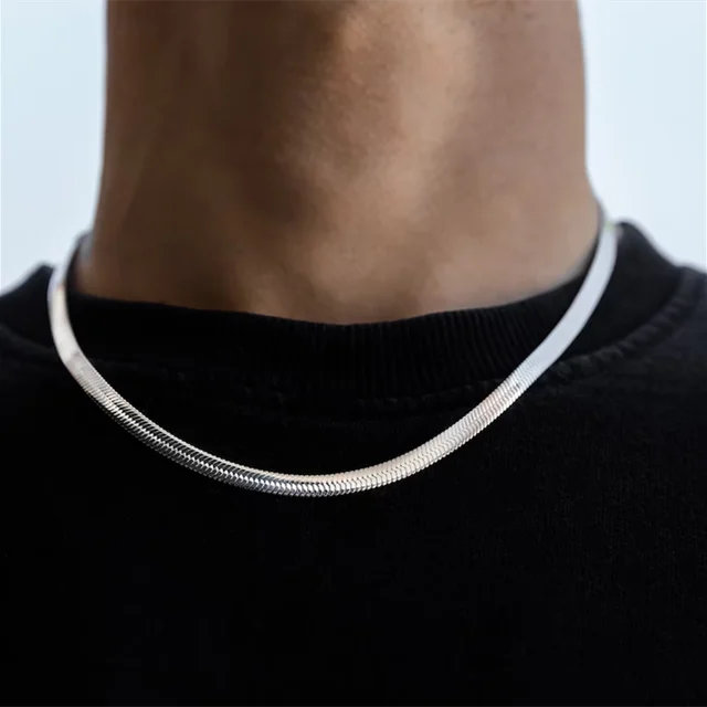 Collier chaîne serpent Hip Hop pour hommes, nouvelle mode, en acier inoxydable, couleur argent, accessoires de bijoux, cadeau de fête 1