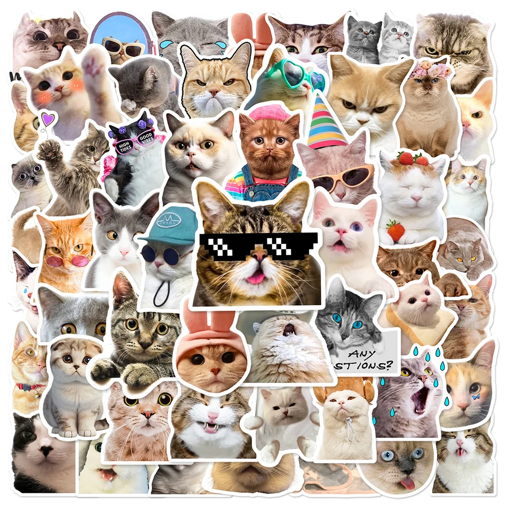 10/30/50pcs 귀여운 동물 고양이 재미 있은 새끼 고양이 MEME 낙서 스티커 스케이트 보드 기타 스크랩북 노트북 장식 스티커 데칼