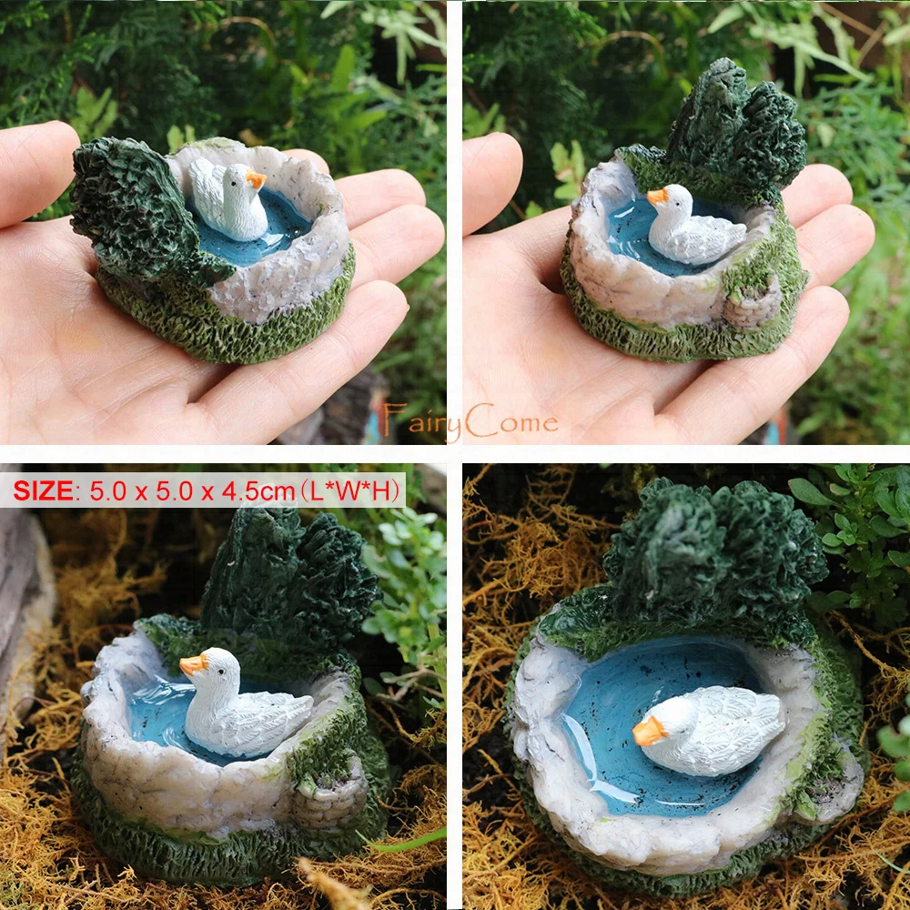 Swimming Duck
