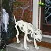 Halloween Skeleton Dog Skeleton Animal Plastic Puppy with Posable Joints Halloween Party Favors Decor for Yard Garden Lawn Patio 1