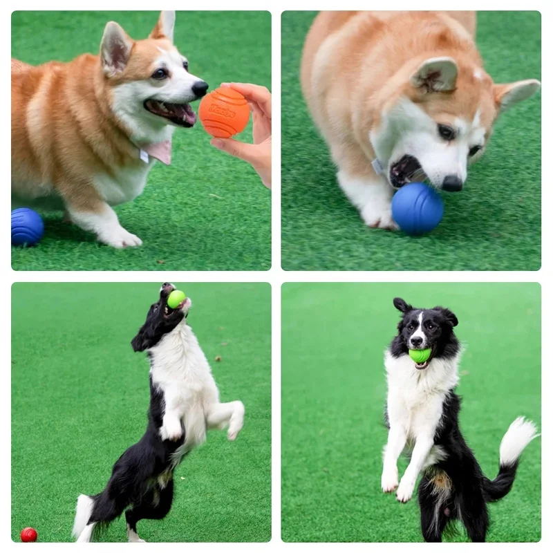 Pet Dog Ball Chew Toys Funny Bouncy Rubber Solid Ball for Small Large Dog Toys Outdoor Throwing Training Toys Supplies 6
