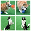 Pet Dog Ball Chew Toys Funny Bouncy Rubber Solid Ball for Small Large Dog Toys Outdoor Throwing Training Toys Supplies 6