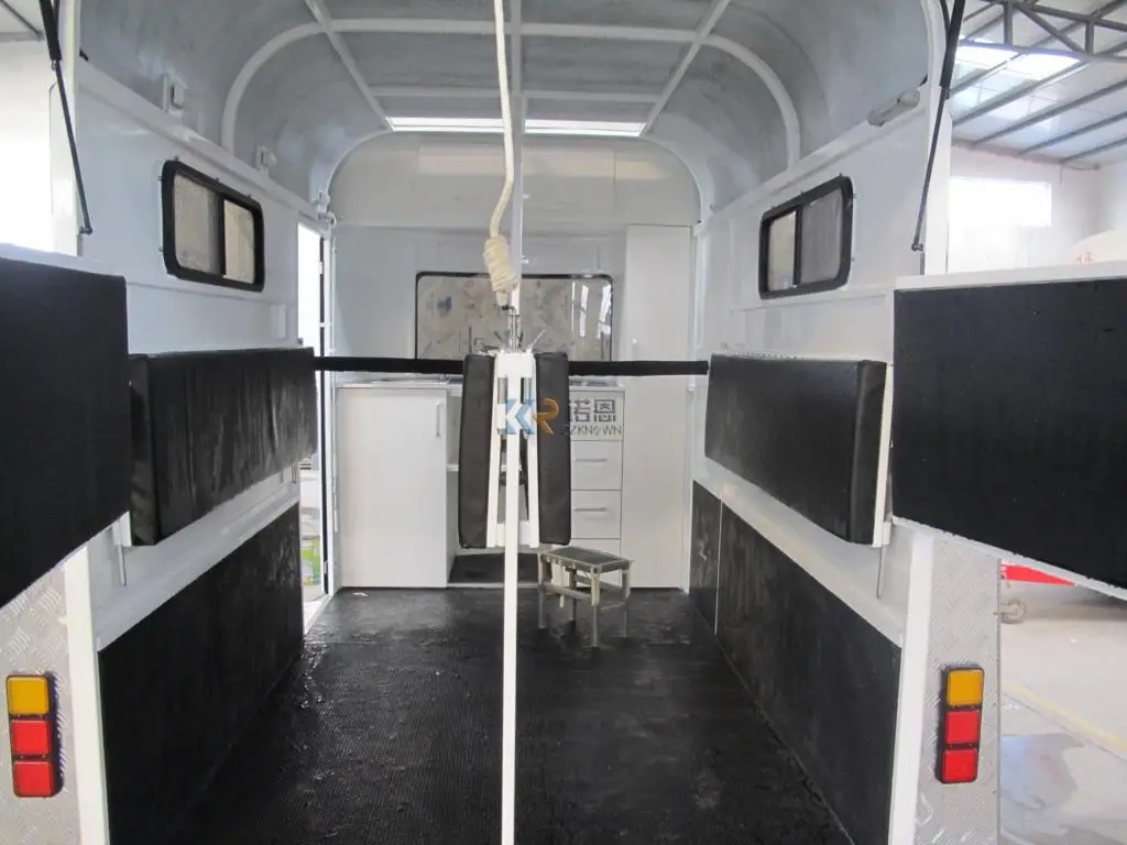 Рисунок 5 - Двухлошадный прямой роскошный модельный