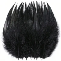 Plumes de coq noires 10-15cm, Plumes artisanales naturelles en vrac pour bricolage, attrape-rêves, décoration de Costume de fête d'halloween 1
