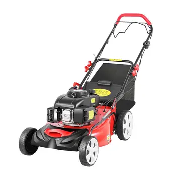 Self-Propelled Gas Lawn Mower 1