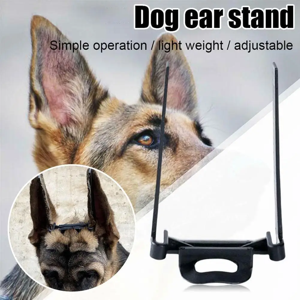 Dog Supplies Puppy Ear Care Tools Ear Stand Up Sticker Dog Ear Stand Fixed Support Tool For Doberman Assist Erected Ear Too R3W2