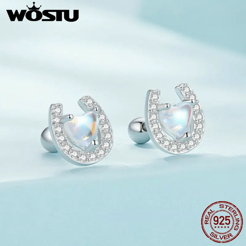 WOSTU  럭키 말굽 스터드 귀걸이 여성을위한 레인보우 월장석 지르콘 귀 클립 Pendient 소녀 생일 선물
