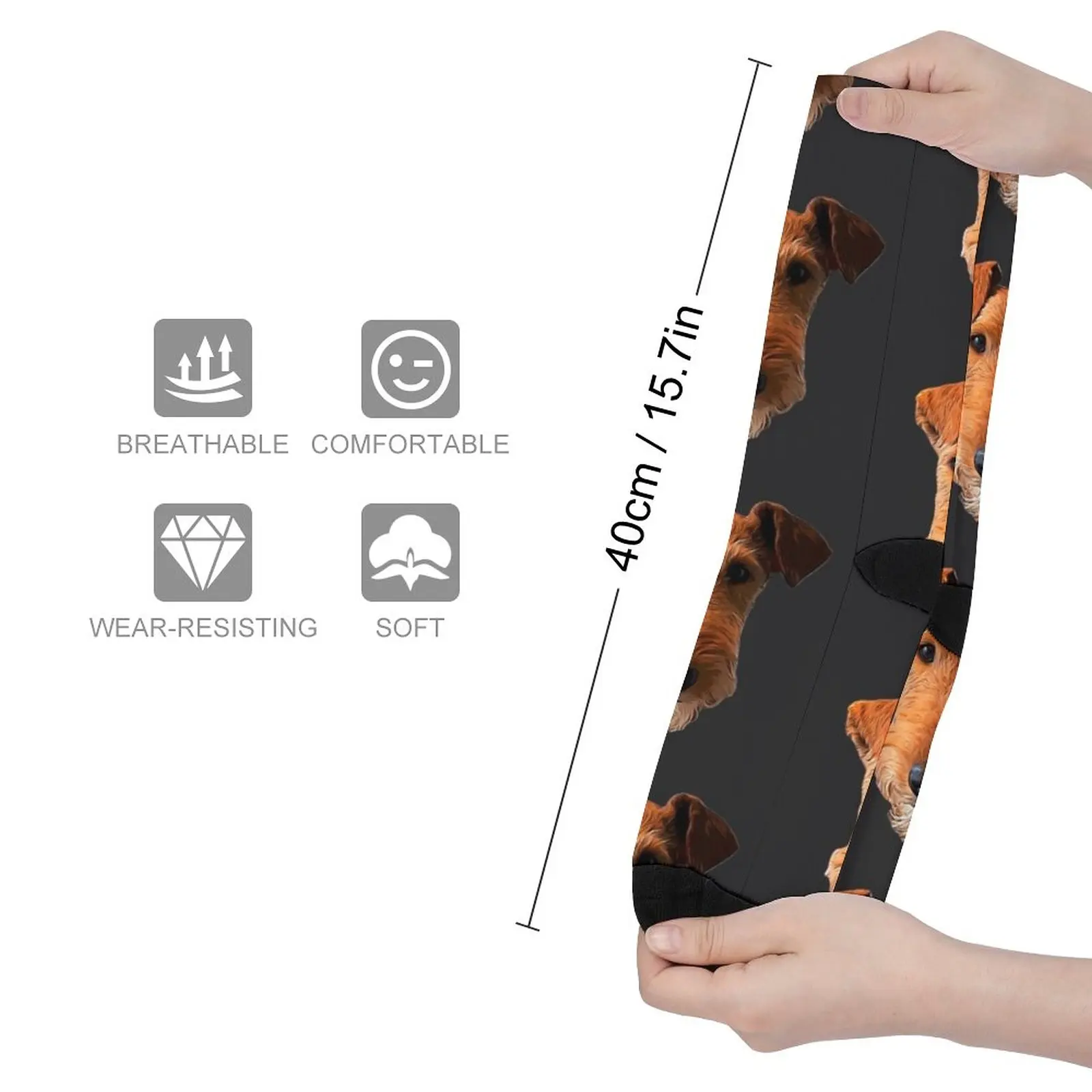Airedale Terrier Head Art Lakeland Welsh Socks Women's socks high MEN FASHION Cartoon characters socks