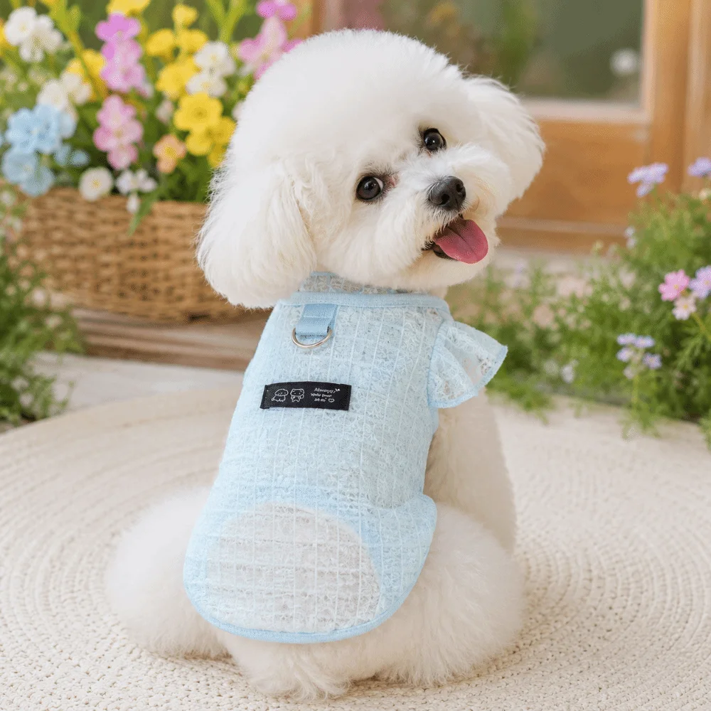 컴포트핏 얇은 메쉬 통풍 애완동물 의류 통기성 플라이 슬리브 고양이 의류 자외..