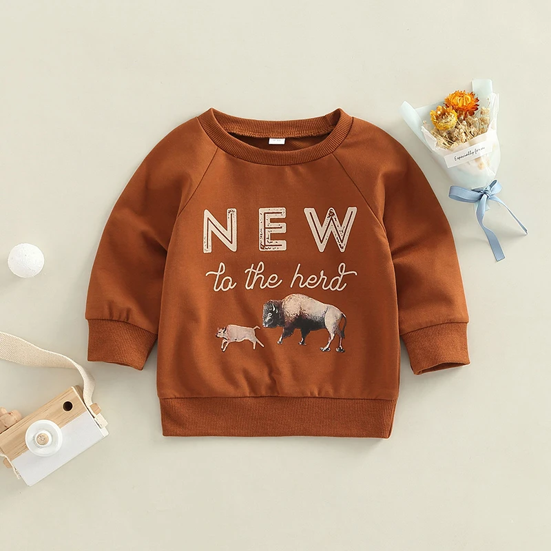 FOCUSNORM 0-3Y Toddler Baby Girls Boys Sweatshirt T Shirts Cartoon Animal Letter Print Long Sleeve Casual Pullover Tops