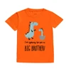 Dinosaur&I‘m Going To Be Big A Brother Print Kid Tee Shirt Casual Short Sleeve Child Tees Top Pregnancy Announcement Clothes 4