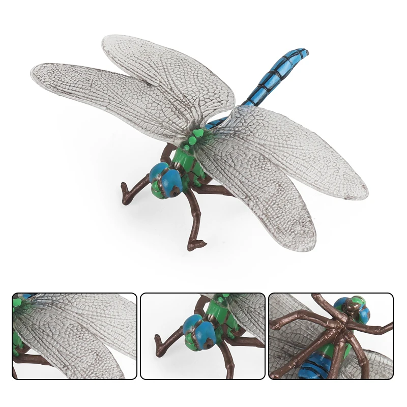 Insect Animals Model Figures Oenux Simulation