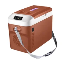 Réfrigérateur de voiture spécial congelé, boîte de rangement au froid domestique, camion, 24V, 220V, 12V 1