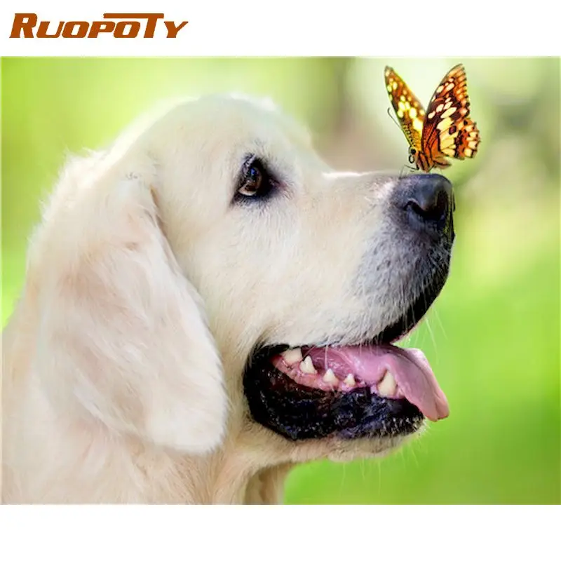 

RUOPOTY Butterfly Dog Animal Oil Painting By Numbers For Adults Children Handmade 40x50cm Frame On Canvas Home Living Room Arts
