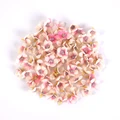 Pink beige
