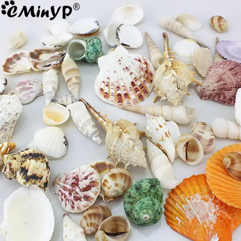 100g/bag Natural Mini Conch Mediterranean Mixed Real Small Sea Shells Nautical Ornaments for Fish Tank Aquarium Decoration