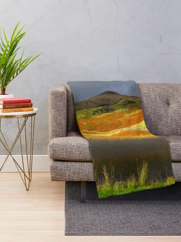 Рисунок 2 - Покрывало для броска