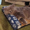 Cat Natural Cooling Mat Summer Pet Self Cooling Pad Cat Bed Mat For Dogs Indoor Rattan Weave Mat Sleeping Cat Bed 4
