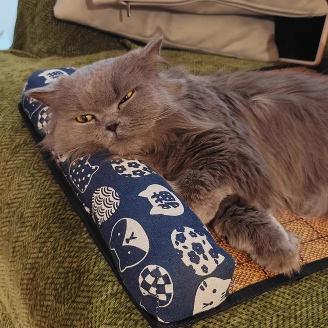 Cat Natural Cooling Mat Summer Pet Self Cooling Pad Cat Bed Mat For Dogs Indoor Rattan Weave Mat Sleeping Cat Bed 4