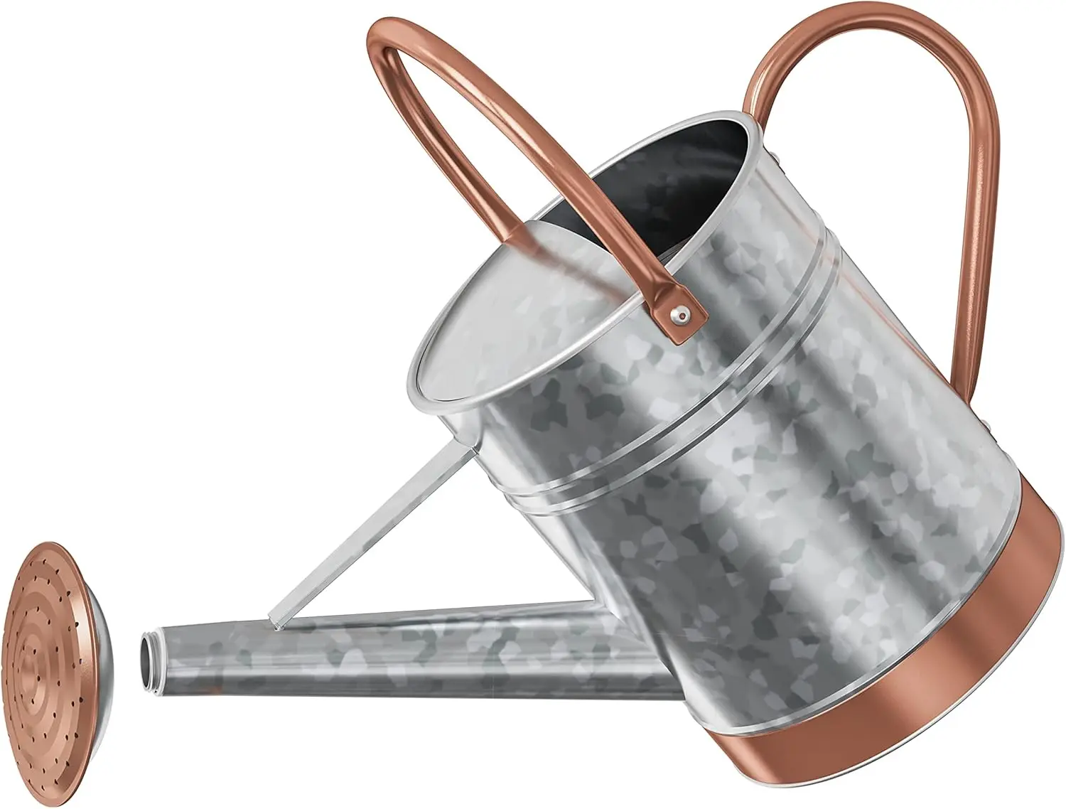 1 Gallon Watering Can for Outdoor Plants-Metal Watering Can for Outdoor Plants House Plant with Sprinkle Head