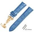 LightBlue-Gold