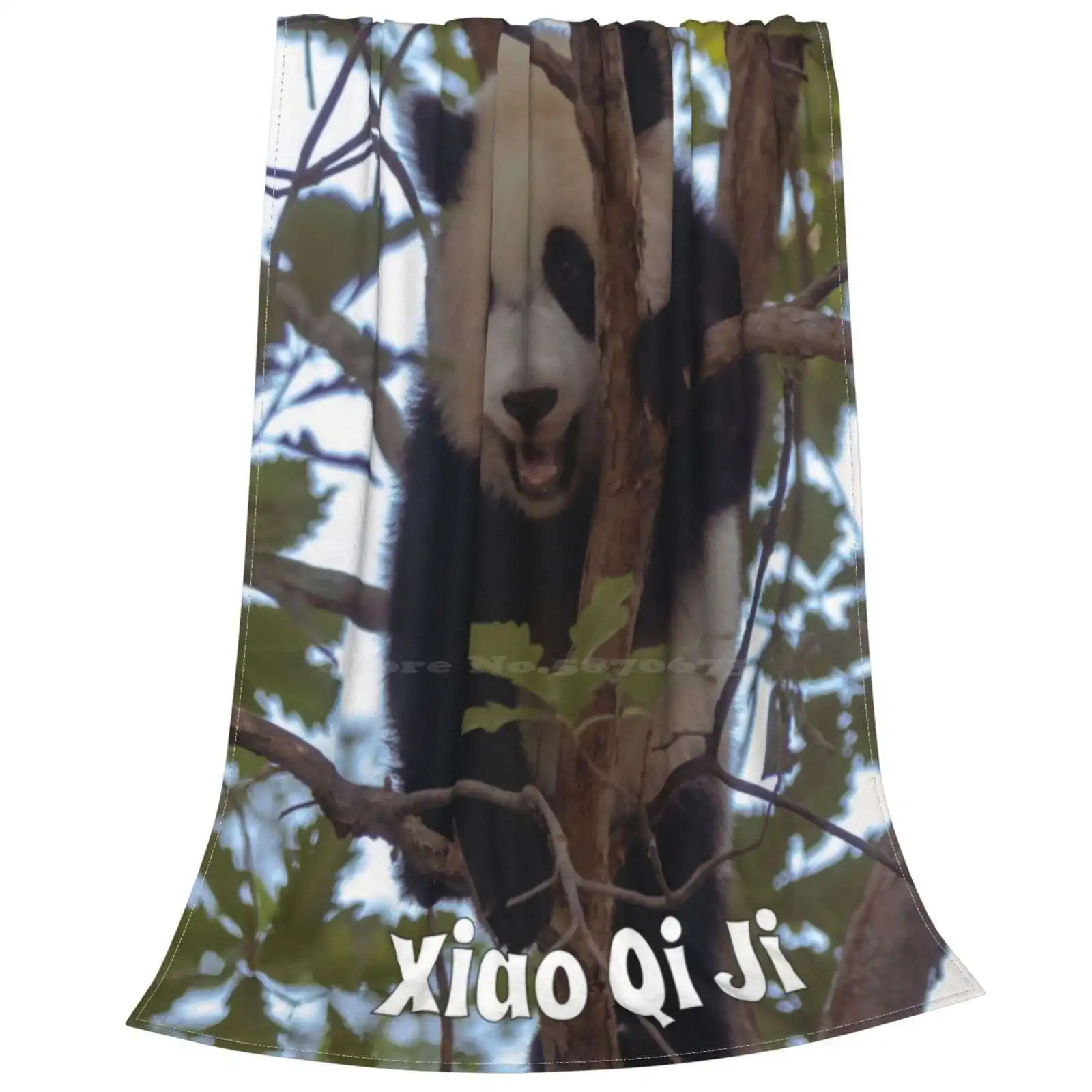  �Ҵ� ���� Qi Ji, �ſ� ������ �ε巯�� ���, ����, ħ��, ����� ���̾�Ʈ �Ҵ�, �Ϳ��� ������