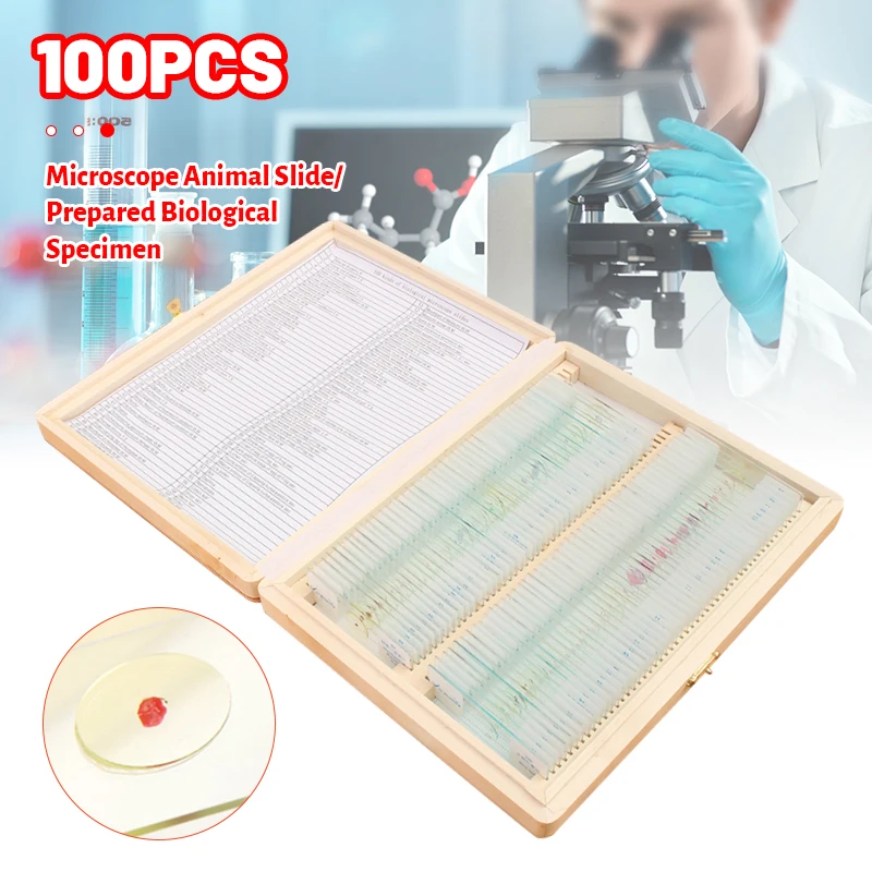 

100Pcs/Set Biological Microscope Slides Sample Glass Basic Animal Plant Insect Science Education Biological Specimen Cover Slips