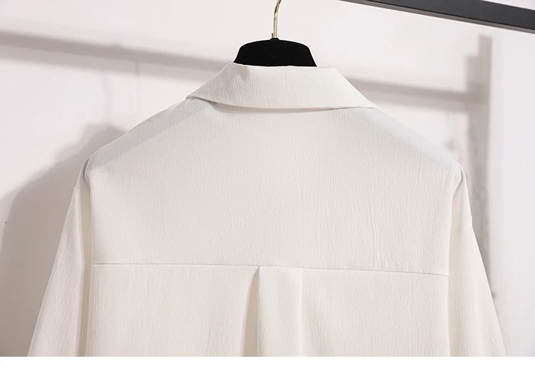 Reißverschluss-Bluse in Übergröße 2026 Frühling Herbst Neue Koreanische Lose Elegante Lässige Weiße Langarm-Bluse Damenkleidung – Detail 13
