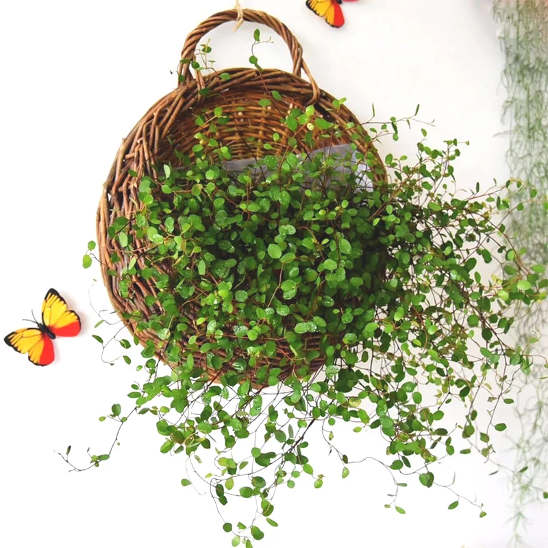 1PCS Handmade Woven Hanging Basket Storage Wicker Rattam Basket Home Garden Indoor Wall Vine Pot Flower Plants Holder cement pot