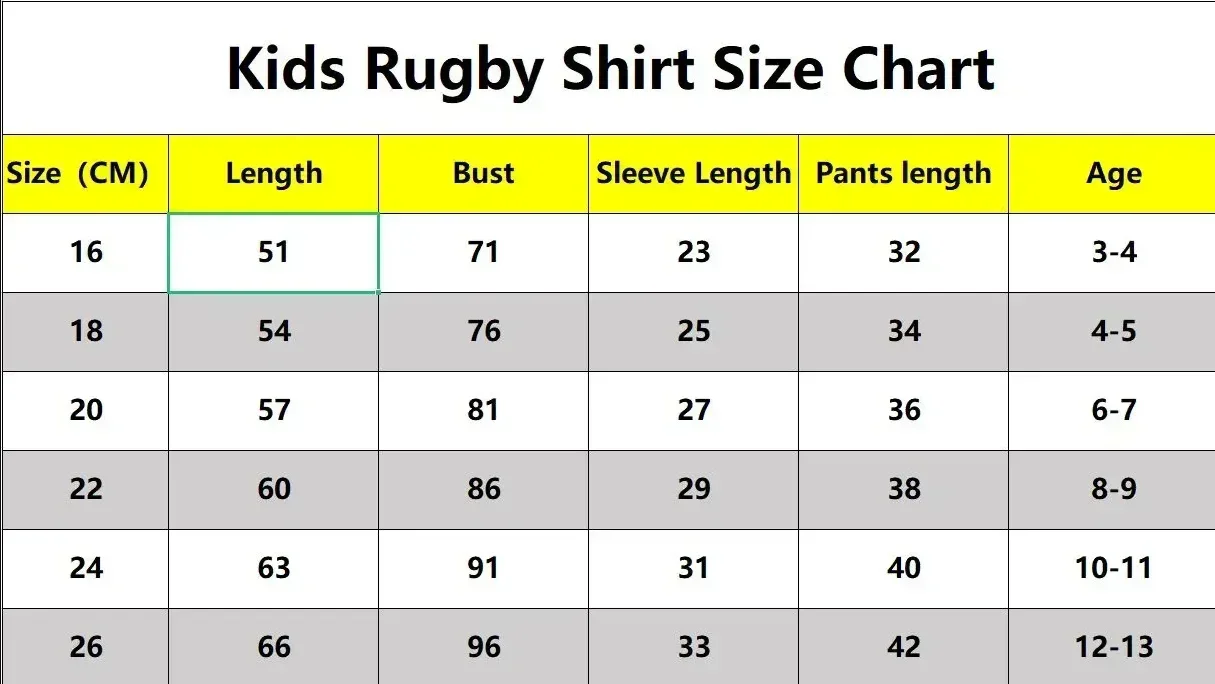 British and Irish Lions Home Rugby Jersey aldult size S--5XL Kids size 16--26 rugby jersey