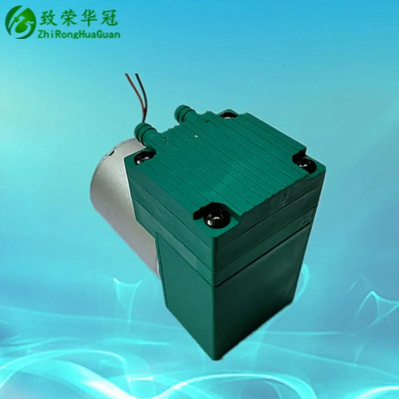 소형 진공 펌프, DC12V, AC110V, 소형 펌프, DC24V, 팽창 펌프, AC220V, 미용 기기