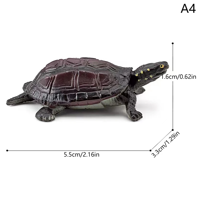 Realistic Turtle Action Figure - Kids Animal Figurines Miniature Toys Gift Ornament