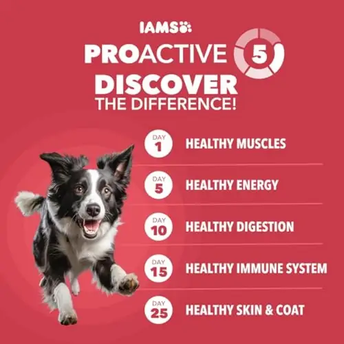 Proactive Health Dry Dog Food, Adult Dog Food Dry Recipe, Lamb and Rice, 30 lb. Bag - Image 2