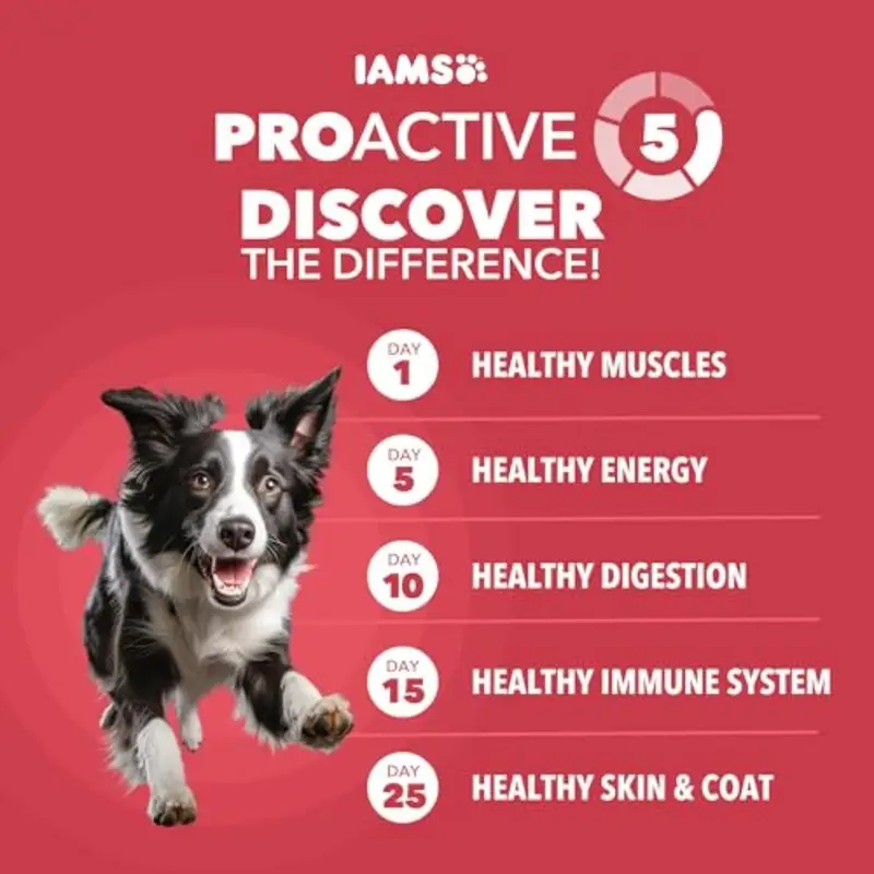 Proactive Health Dry Dog Food, Adult Dog Food Dry Recipe, Lamb and Rice, 30 lb. Bag - Image 2