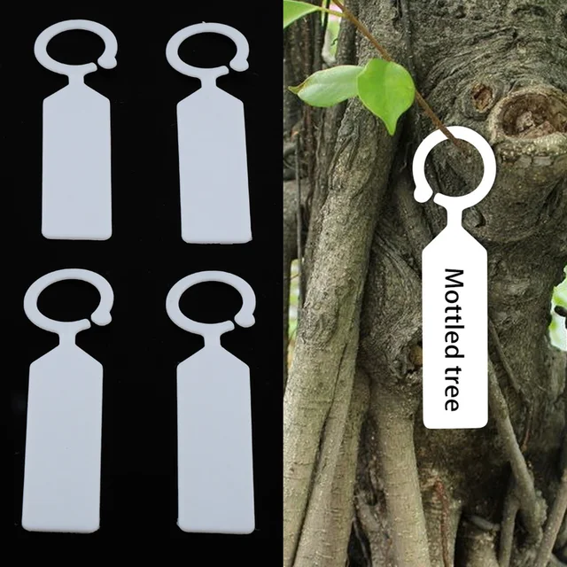 100Db Kertészeti Címke Palánták Virágnövény Zöldségek Címkék Kerti Irányjelző Jel Gyümölcsfák Azonosító Kártyák Újrafelhasználható - Image 2