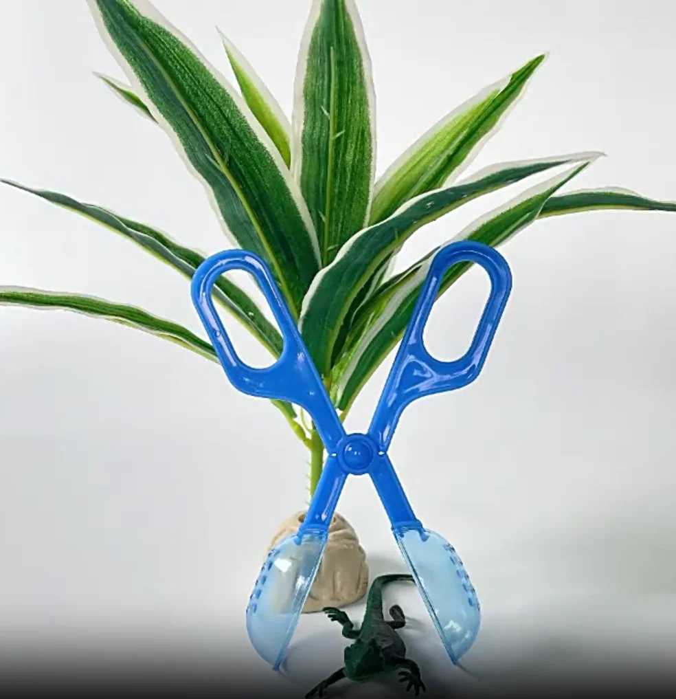 1pc-Crawler, land turtle, lizard, frog, spider, clip, transparent clip, pet cleaning tool