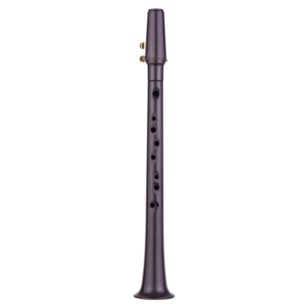 11-hole C Key Pocket Sax with Alto Mouthpiece Ligature Reeds Dental Pads Portable Saxophone with Carrying Bag Little Saxophone