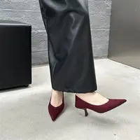 Bailamos 2024 Autumn Pointed Toe Women Sexy Shallow Slip On Pumps Shoes Fashion Thin High Heel Ladies Elegant Dress Shoes Mujer - Image 3