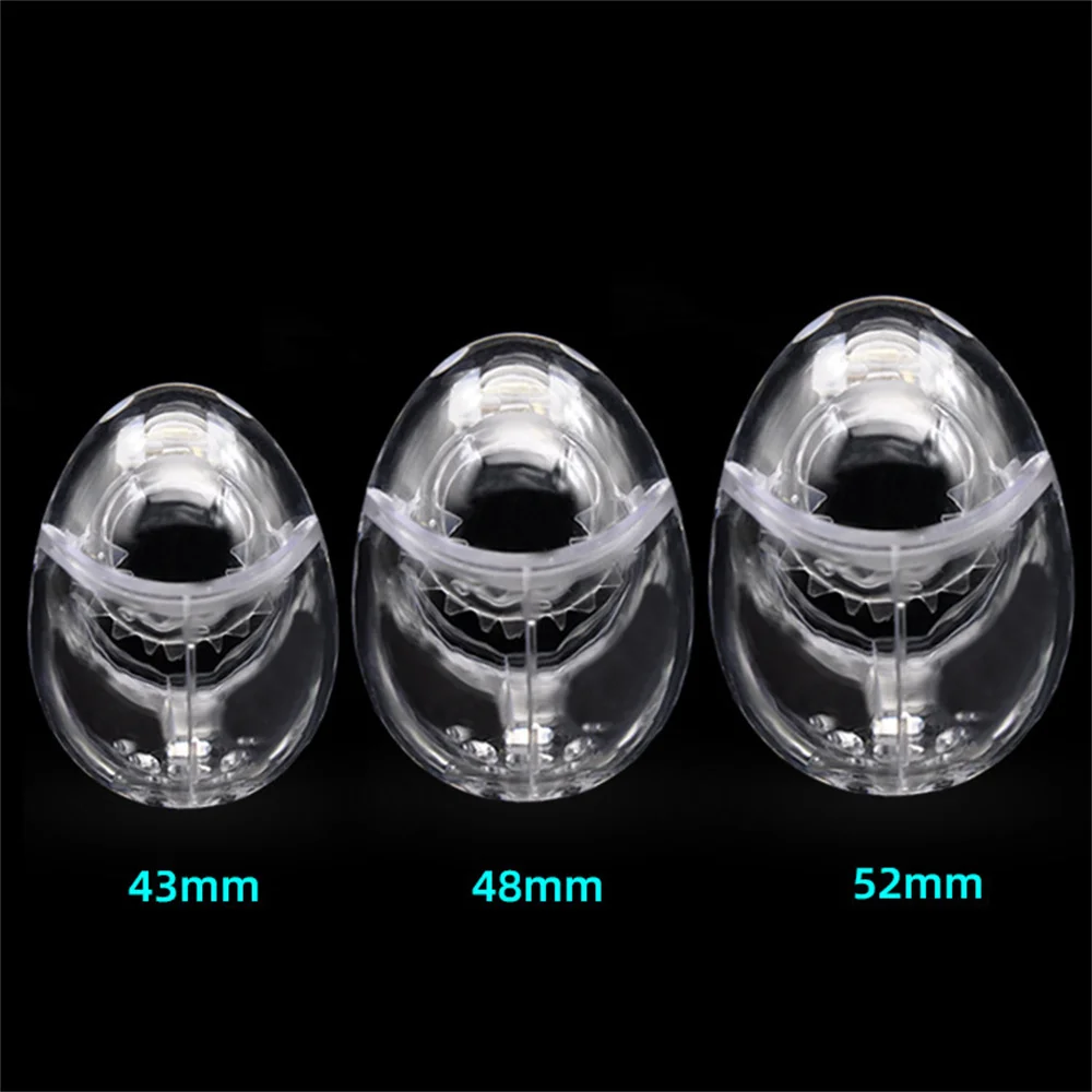 Detachable Bondage Egg Type Male Chastity Cage With Barbed Ring Scrotal Ball BDSM Chicken Cage Penis Stretcher Abstinence SexToy