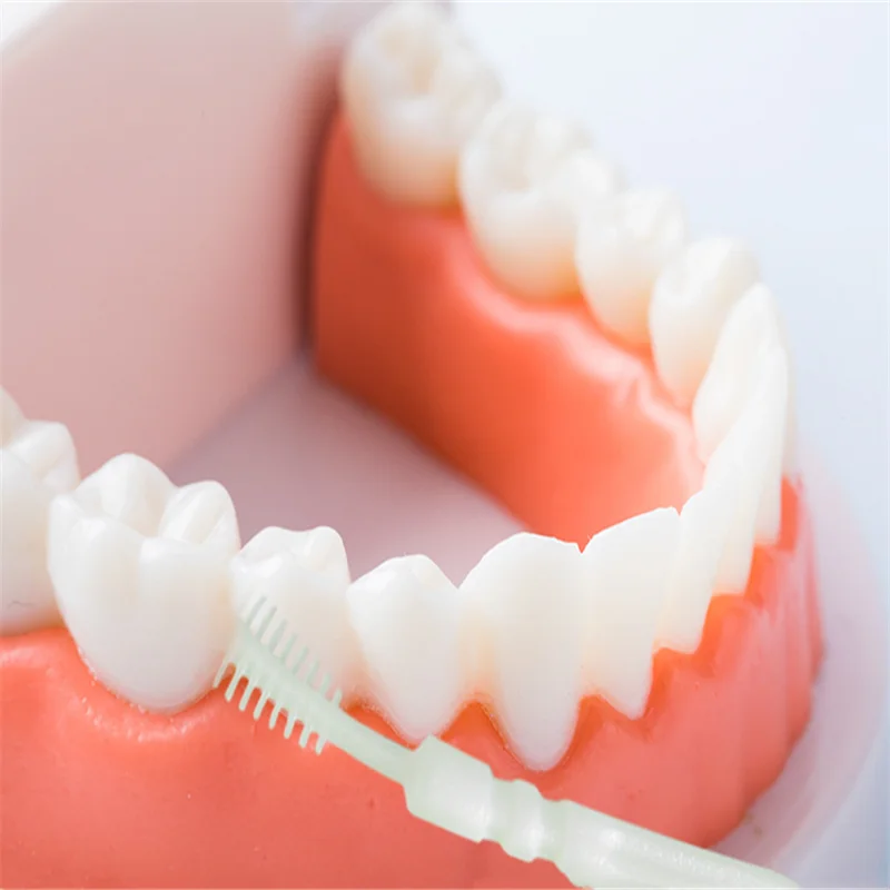 60 Fishbone Double-headed Toothpick Brush Boxed Portable Hotel Household Tooth Stick Clean Teeth Food Residue Interdental Picks toothpick set toothpicks set interdental brushes