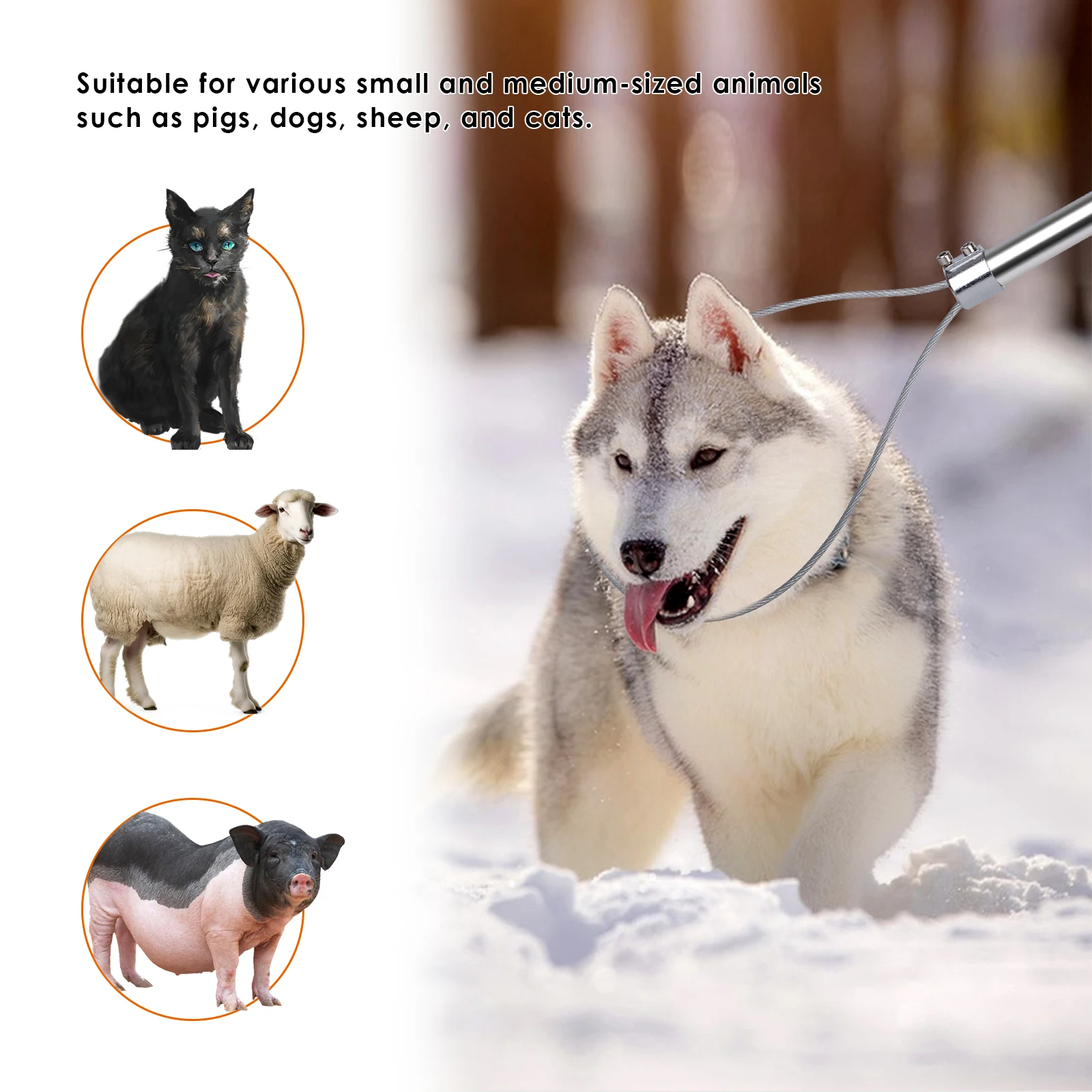 33 Inch Stainless Steel Animals Pig Catcher Pole Thickness Wire Rope Animal Catch Pole Stretchable Handle Efficient Easy To Use 6
