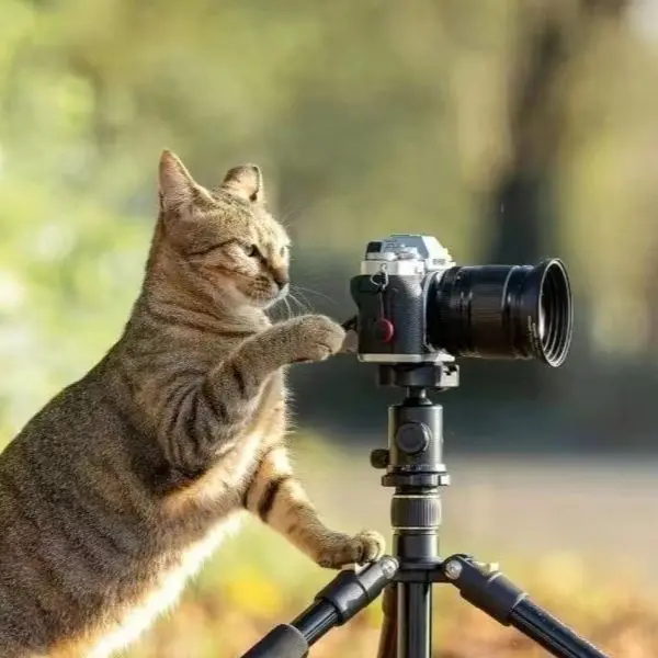 NC Camera Accessories Store