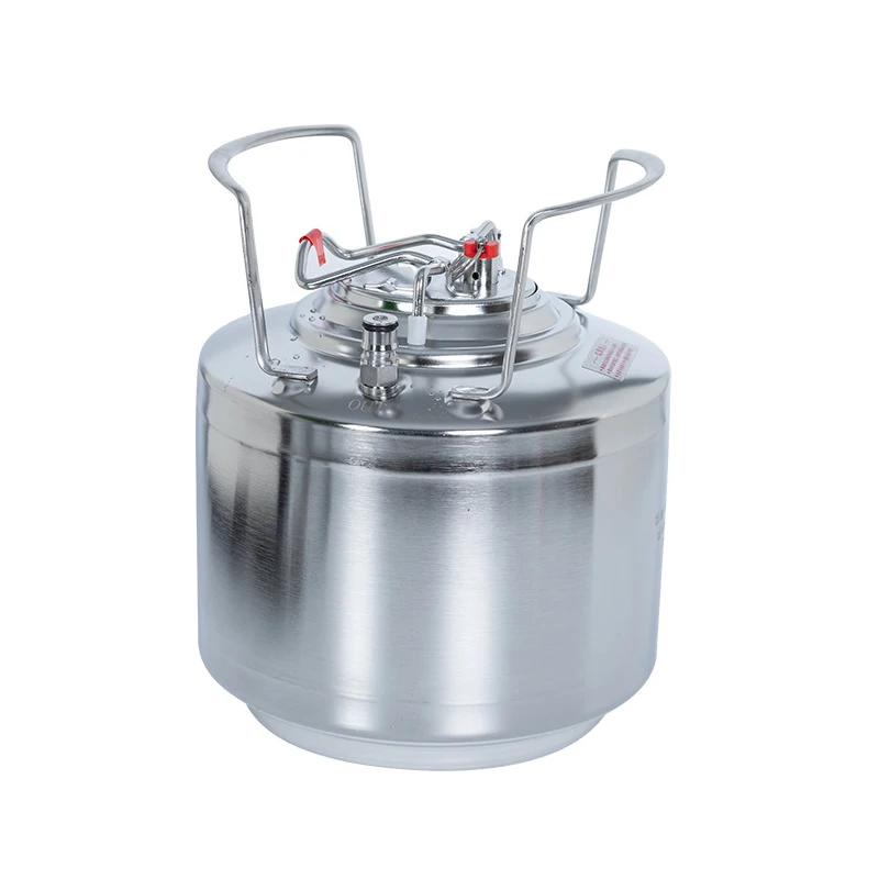 Portable Beer Keg Home Brewing Stainless Steel Premium Dispenser Use Fully Automatic Craft Machine 5L Making Equipment Kit