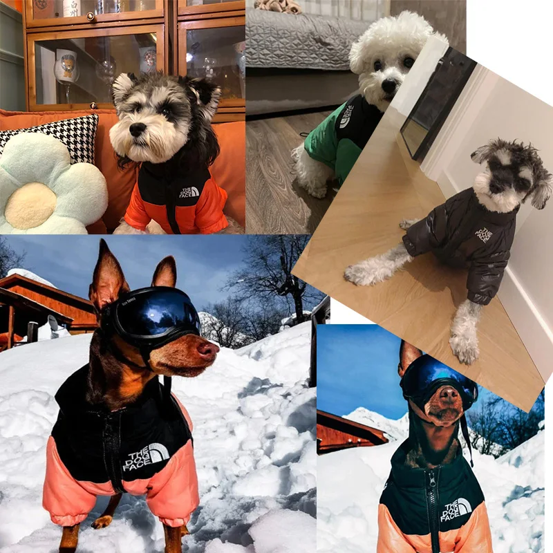Pet Jacket Winter Dog Waterproof French Bulldog Yorkshire Chihuahua Small Medium