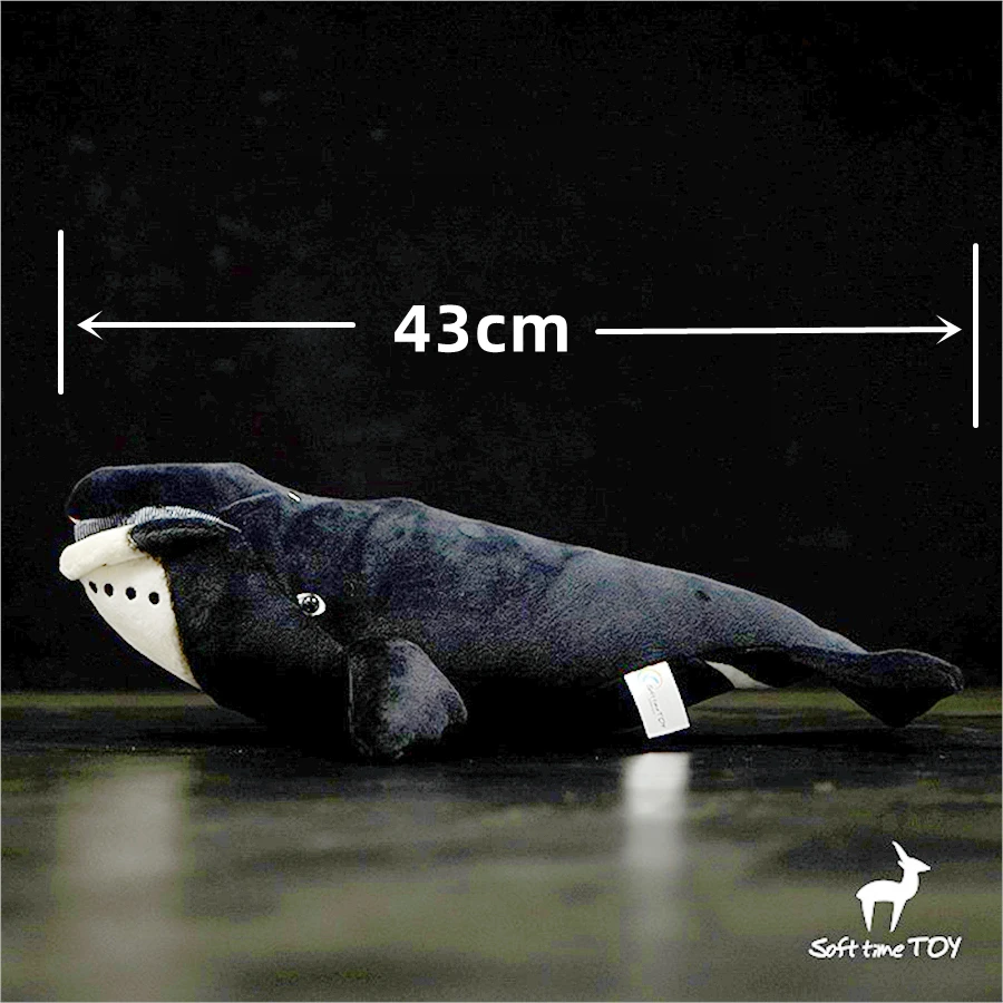 Bowhead Whale High Fidelity Anime Cute Plushie Humpback Right Whale Plush Toys Lifelike Animals Simulation Stuffed Doll Kawai 2